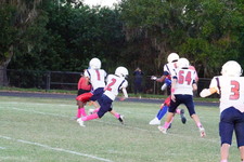 Enlarge photo 155