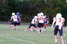 Enlarge photo 156