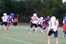 Enlarge photo 157