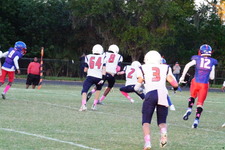 Enlarge photo 158