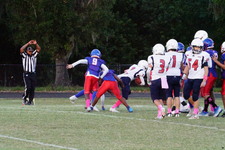 Enlarge photo 159