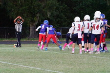 Enlarge photo 161