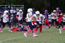 Enlarge photo 179