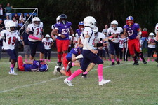 Enlarge photo 178