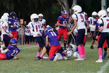 Enlarge photo 182
