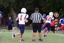 Enlarge photo 195