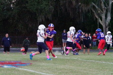 Enlarge photo 204