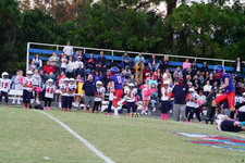 Enlarge photo 207