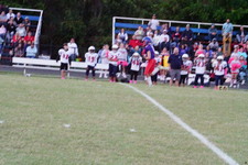 Enlarge photo 209