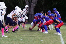 Enlarge photo 218
