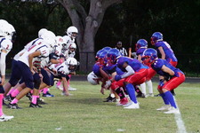 Enlarge photo 220
