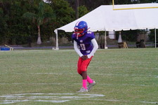 Enlarge photo 224