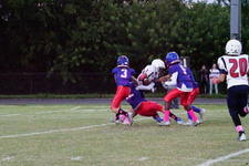 Enlarge photo 229