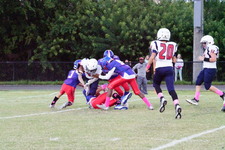 Enlarge photo 228