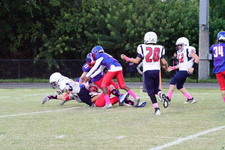 Enlarge photo 230