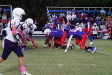 Enlarge photo 232