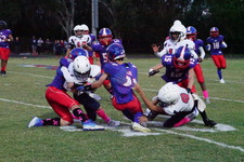 Enlarge photo 249