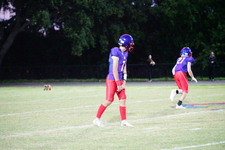 Enlarge photo 252