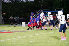 Enlarge photo 258