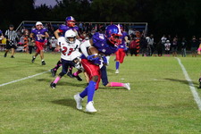 Enlarge photo 272