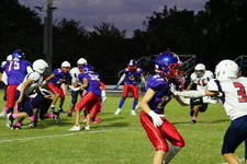 Enlarge photo 281