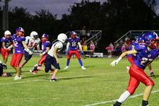 Enlarge photo 283