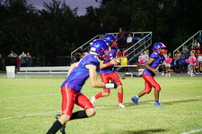 Enlarge photo 291