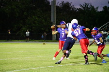 Enlarge photo 293