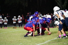 Enlarge photo 300