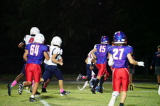Enlarge photo 303