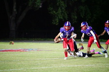Enlarge photo 310