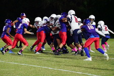 Enlarge photo 315