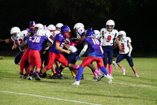Enlarge photo 317