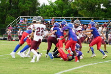 Enlarge photo 44