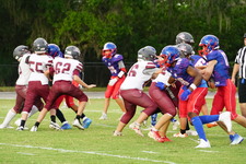 Enlarge photo 48