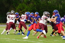 Enlarge photo 49