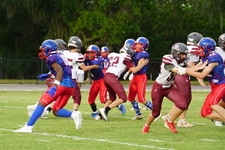 Enlarge photo 50
