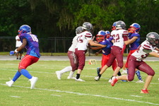 Enlarge photo 51