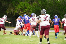 Enlarge photo 55
