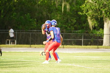 Enlarge photo 63