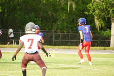 Enlarge photo 66