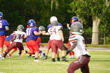 Enlarge photo 68