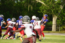 Enlarge photo 70