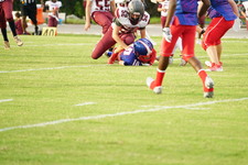 Enlarge photo 74