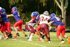 Enlarge photo 78