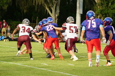 Enlarge photo 96