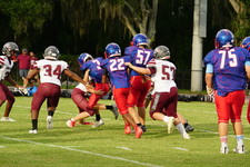 Enlarge photo 97