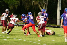 Enlarge photo 98