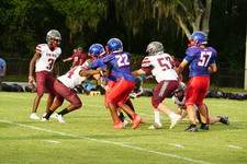 Enlarge photo 99