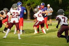 Enlarge photo 124